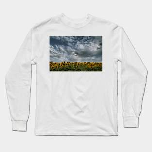 Sunflower Field Long Sleeve T-Shirt